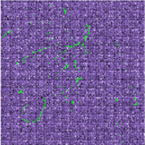ender