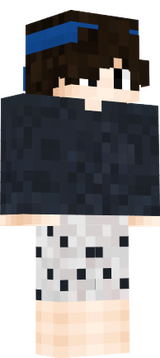 shaneflash