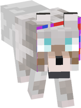 Anime and colored collar wolf