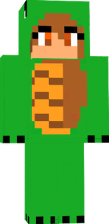 Derp Turtle Master