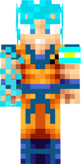 skin principal