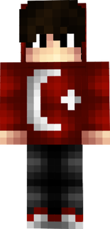 skin
