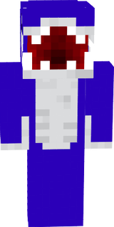 shark dash's swim sute