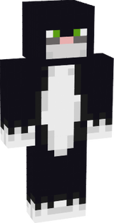 spooky cat