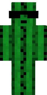cactus 2