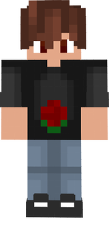 1RadonHero1
