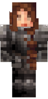 armourwithbraid