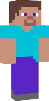steve 