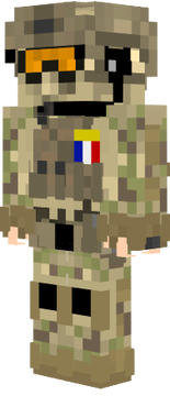 Armée de terre TsuBey