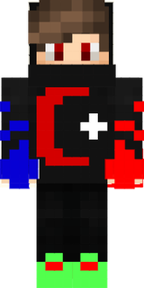 skin