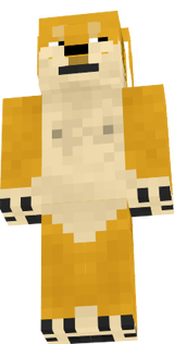 www