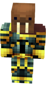 Rochynhaa