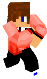 Skin For Stormus4