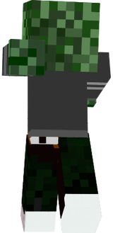 neto