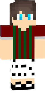 mine skin
