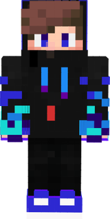 skin