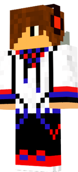 skin minecraft