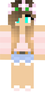 skin minecraft