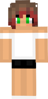 NINJA SKYLAR