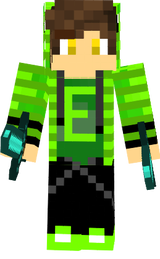 skin e