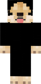 samo derp doge