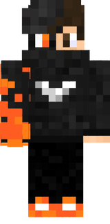 skin