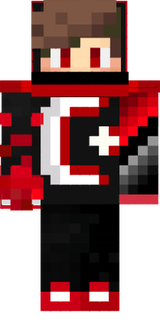 skin