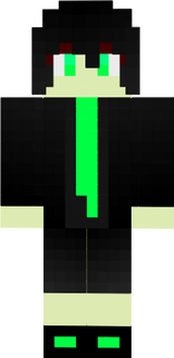 hina_agent_t2