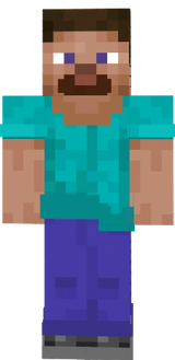 Realistic Steve