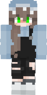 DiscoTheMechanic minecraft