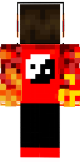 SNAIDER
