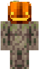 dddd