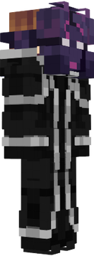 Pirt rig