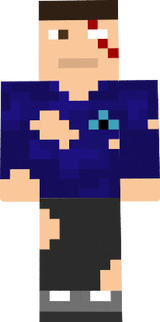 Survivor 1.1.4