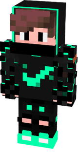 skin