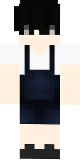 UserPao