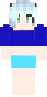 dsfi