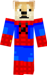 spider-doge