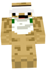 bielnyan933 nova skin