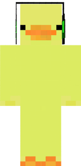 Duck_skin