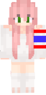 skinmycraft