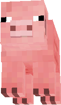 pig