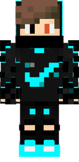 skinn2