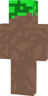 dirt