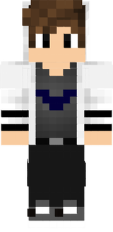 neuer-skin