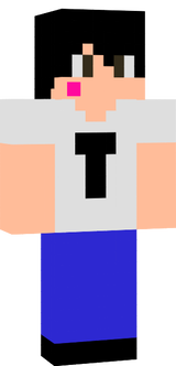 toyo gamer skin