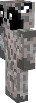 raccoon6