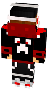the nyga GAMER