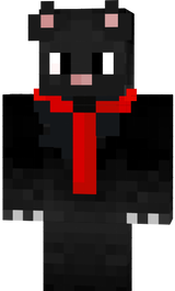 gato