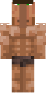 Villiger Noob